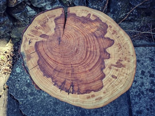 2 unikatna stočića