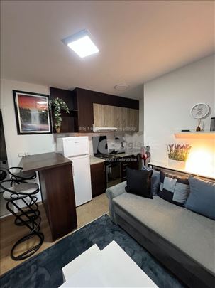 Izdajem jednoiposoban namesten stan 