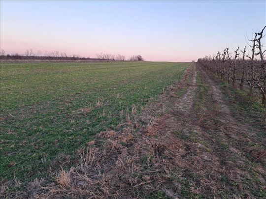 Grocka-Kamendol, 1,2 h, uknjižen