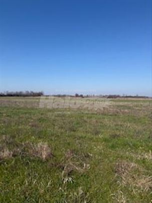 Obrenovac (Grabovac-Dubrava), 2.35 ha