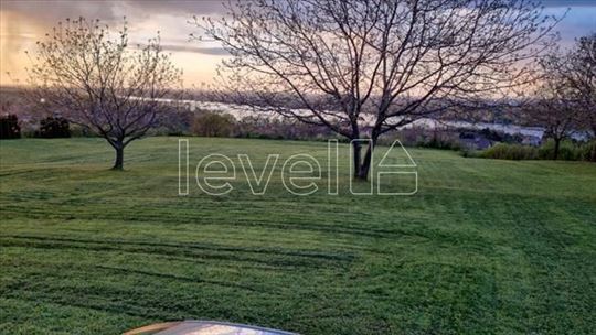 Plac,Ledinci,Ledinci,kv: 3880.00