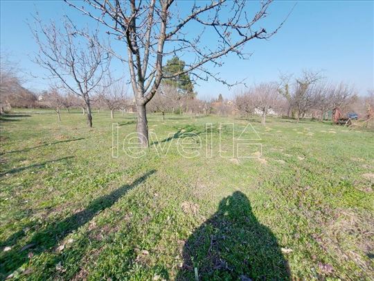 Plac,Petrovaradin,Zanoš,kv: 1656.00