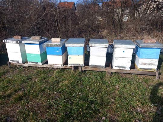 Prodajem pčelinja društva