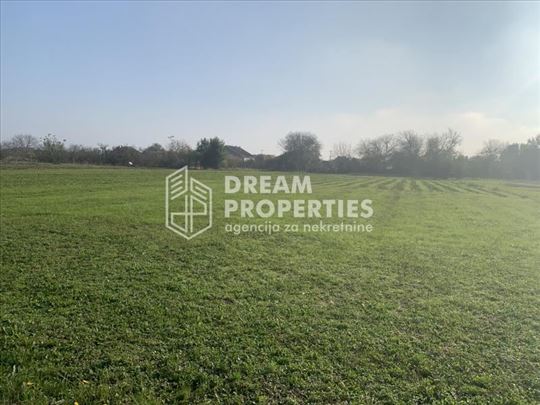 Surčin - Petrovčić - 2,94Ha ID#1038