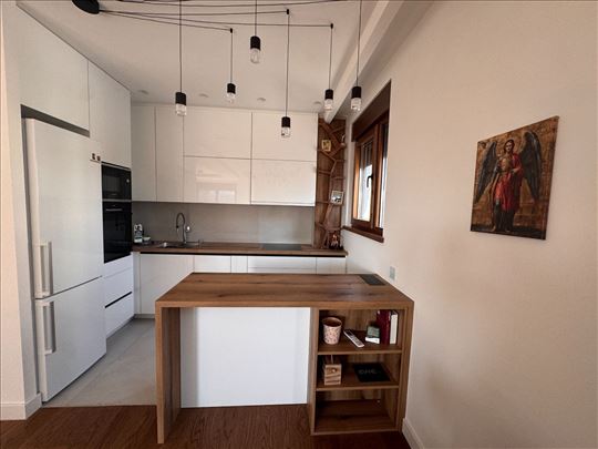 Stan uz obalu Dunava sa uređenom baštom za stanare