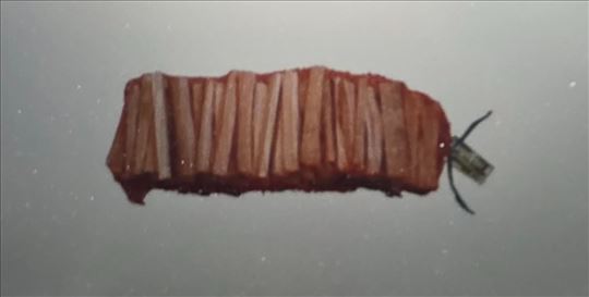 Drvo za potpalu - Suvo drvo u dzakovima