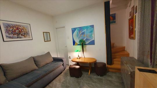 Stan na Dorćolu, pet friendly 