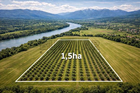 1.5ha ravna parcela, komad