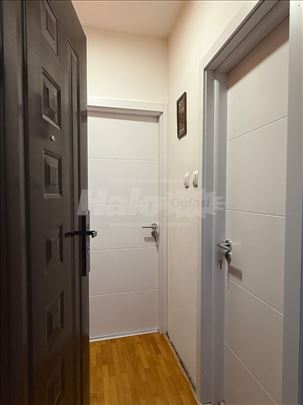 Izdajem stan od 37 m2 u Šavničkoj ulici