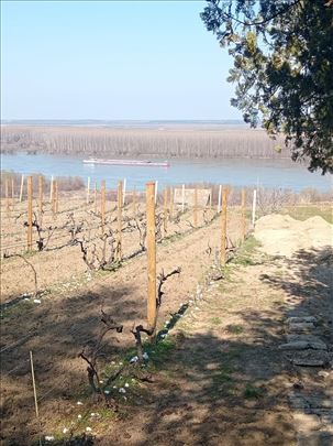 Kuća Stari Slankamen na prodaju