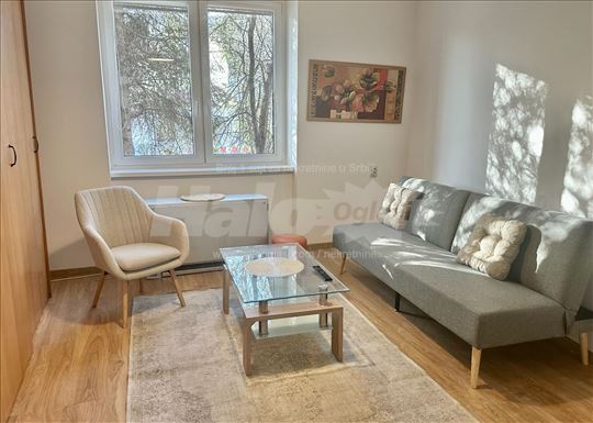 Renoviran i opremen stan u Tosinom Bunaru (Lidl)