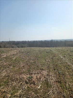 Šiljakovac, Prodaja 17 placeva