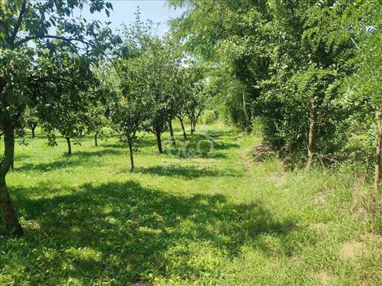 Voćnjak, građevinsko zemljište, 46a u Malim pčelic