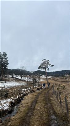 Plac Zlatibor( okolina Tornika) 25 ari 1/1 vlasnik