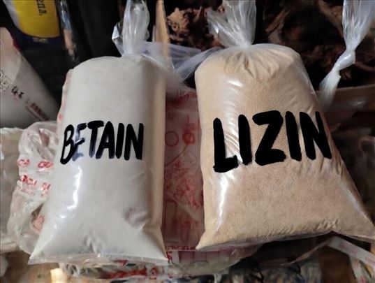 Betain i Lizin atraktor za sarana i belu ribu