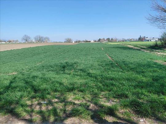 Građevinsko zemljište u Belegišu