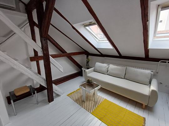 Renoviran, svetao studio,Botanička bašta, ID 2185