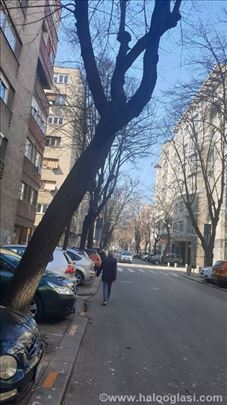 Salonac - Ugao Cara Uroša i Strahinjića Bana - 5.0