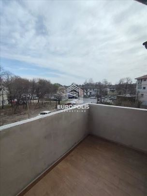 Kotež, Palilula ID#8587