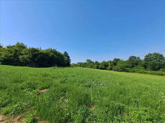 Poljoprivredno zemljište na prodaju, Dučina