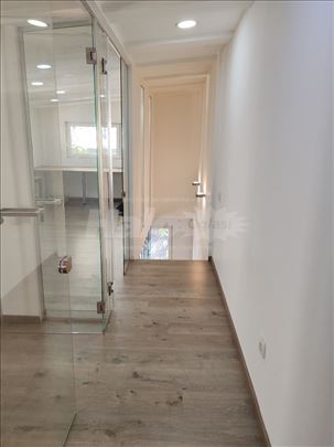 Profesorska kolonija, Vlasnik - Stan i lokal