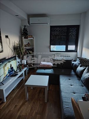 Stan Cacak Stoje Tosic 12