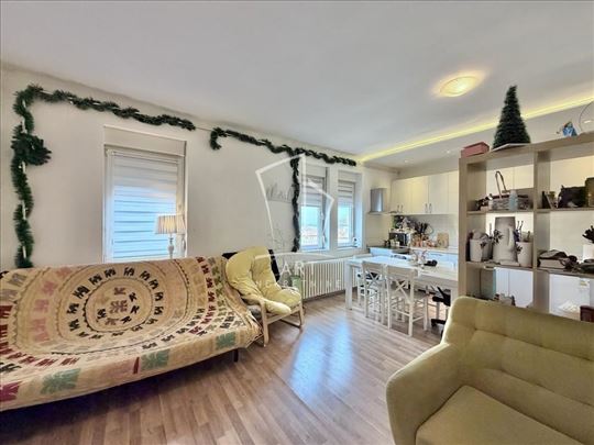 Uknjižen salonac, Stari grad ID#14490