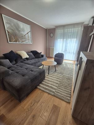 Dorćol, 1.5 renoviran, funkcionalan