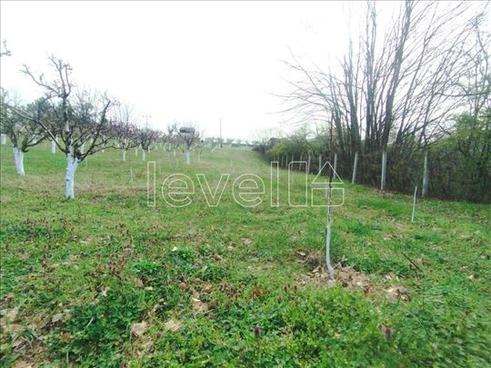 Plac,Sremska Kamenica,Čardak,kv: 6600.00