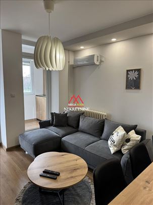 Renoviran jednoiposoban stan – Novo naselje