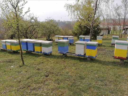 DB pčelinja društva