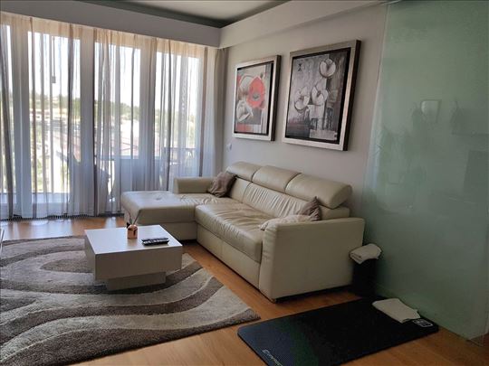 Izdavanje lux dvosobnog stana-Novi Beograd,West 65