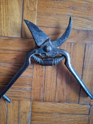 Makaze za orezivanje