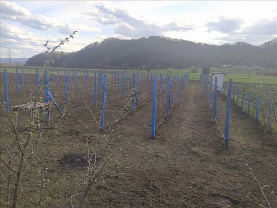 Stubovi za malinjak i komplet oprema