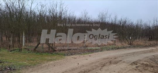 Plac Subotica/Kelebija