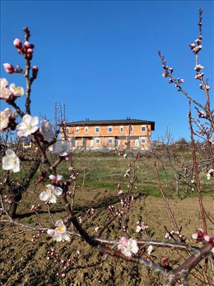 Stan 70m2 sa lepim pogledom sa 2-3 ara placa