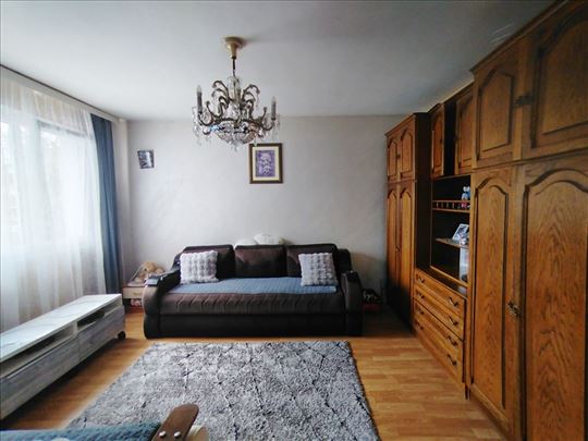 Zemun polje Institut za kukuruz 29 m2 dvorište 1,0