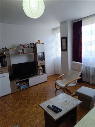 Konjarnik, Olge Alkalaj, jednosoban 36m2