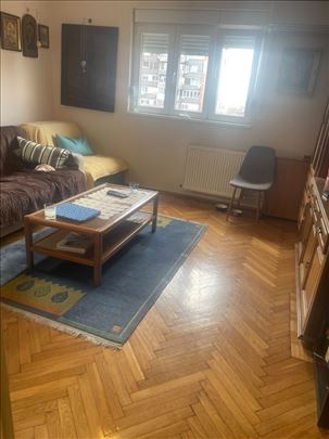 Odličan, funkcionalan 2.0 stan kod Liona