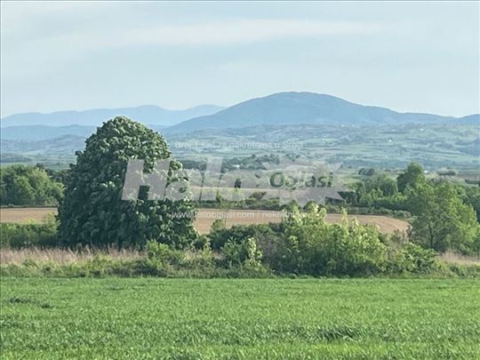 Parče raja od Kosmaja.Pogled!Pogled!