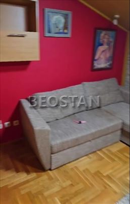 Širi centar - Zvezdara mirijevo #66727