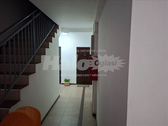 Stan za izdavanje blizu škole u Kneževcu 