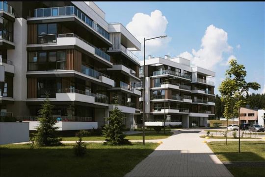 Zlatibor Cajetina kod spomenika i staze za Cigotu