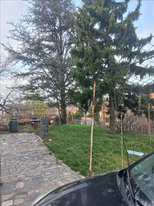 Boleč, kuća 380m2, PR+II, 2 garaže, 12 ari