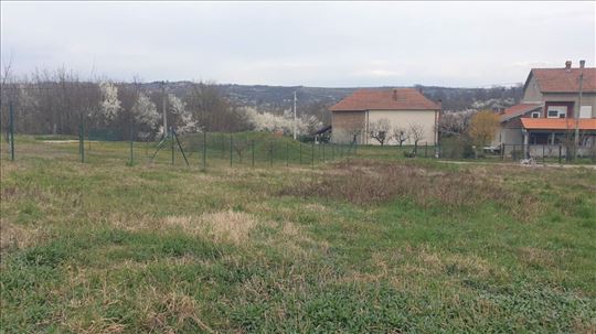 Plac na Avali,  Popovic