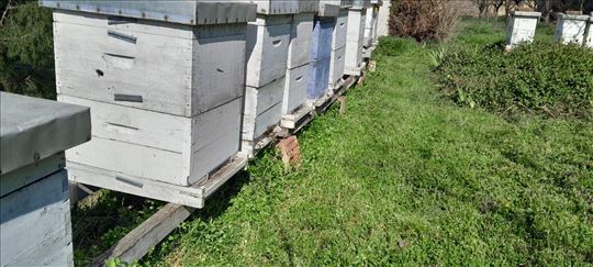 Prodajem Pcele Lr kosnice 