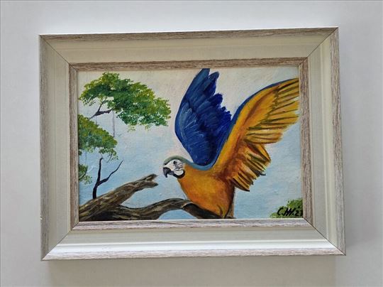 Ulje na platnu - Snaga krila, prelepo!