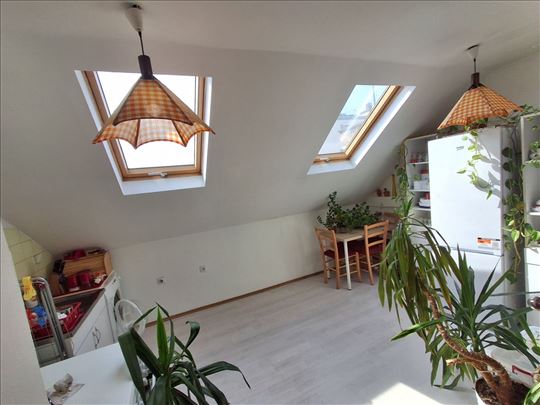 Vojvode Milenka. Odlična ponuda, adaptibilno.