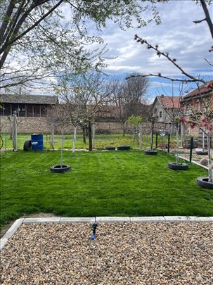 Cuvanje pasa na duzi period