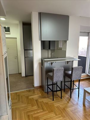 Mirijevski bulevar, 37m2, namešten, sa parkingom